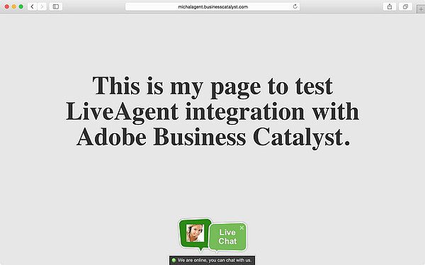 LiveAgent_integreerimine-Adobe_Business_Catalyst1 LiveAgent Adobe Business Catalyst integratsioon