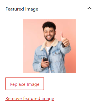 Esiletõstetud pildi näide